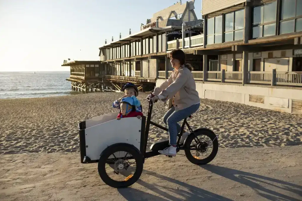 ebeachwagon.com