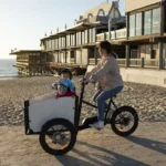 ebeachwagon.com