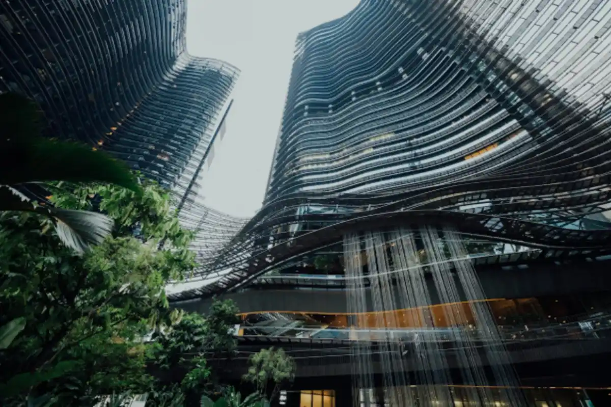 emerging Texas franchise brands