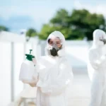 bed bug treatment Chicago