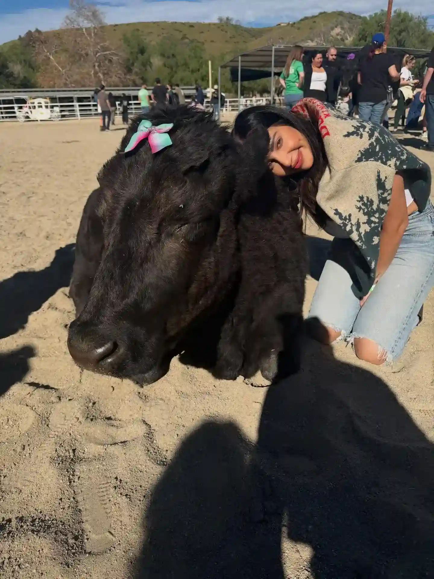 paulina-ben-cohen-net-worth